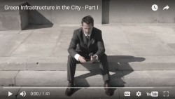 Green Infrastructure in the City