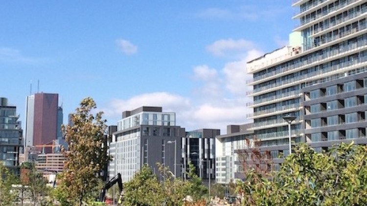 Spotlight on Research: Trees and Healthy Air, Willingness to pay for GI, and more!