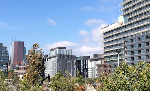 Spotlight on Research: Trees and Healthy Air, Willingness to pay for GI, and more!