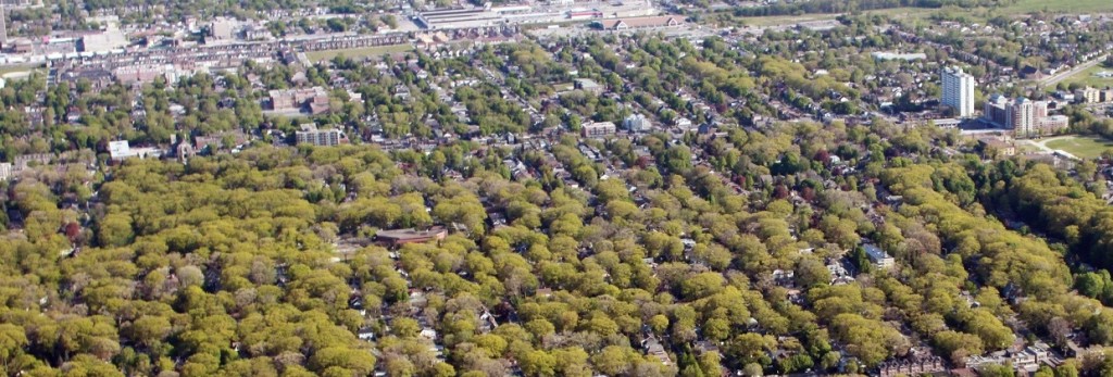 Submission to Public Sector Accounting Board
