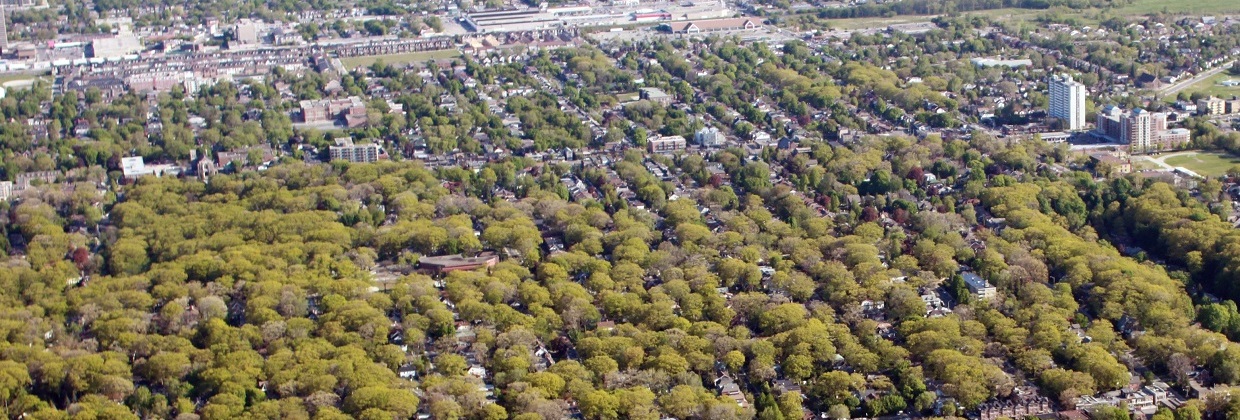 Aerial photograph of the Toronto Waterfront, May 2010