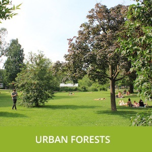 URBAN_FORESTS_300X300