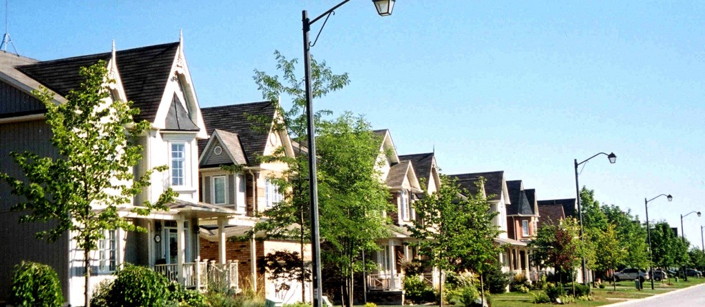 NEWS RELEASE: Urban Forests Face Perilous Future Without Intervention