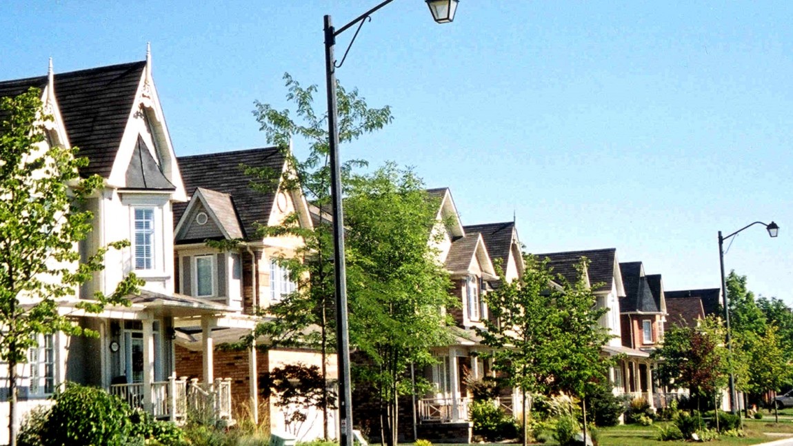 NEWS RELEASE: Urban Forests Face Perilous Future Without Intervention