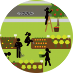 o-agriculture