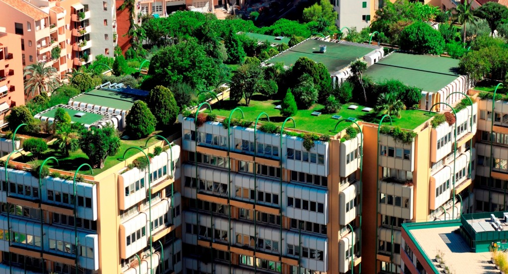 green roof