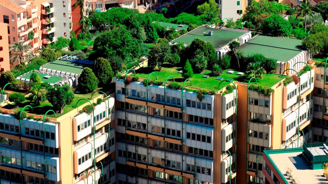 Spotlight on Research: Green Infrastructure market, urban forest management guide, and more