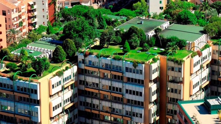 Spotlight on Research: Green Infrastructure market, urban forest management guide, and more