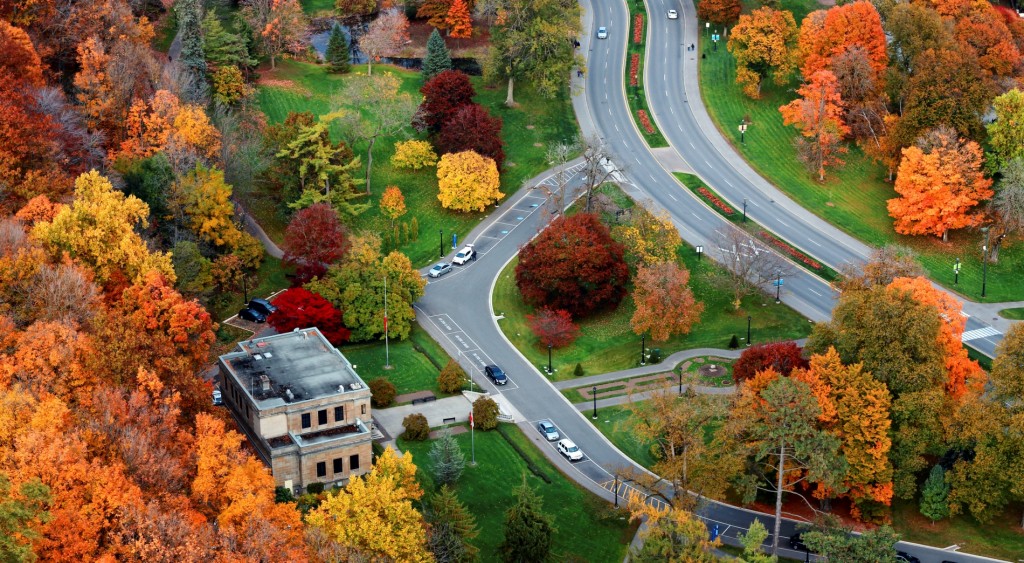 Calling All Urban Forest Stakeholders - What tools do you need?