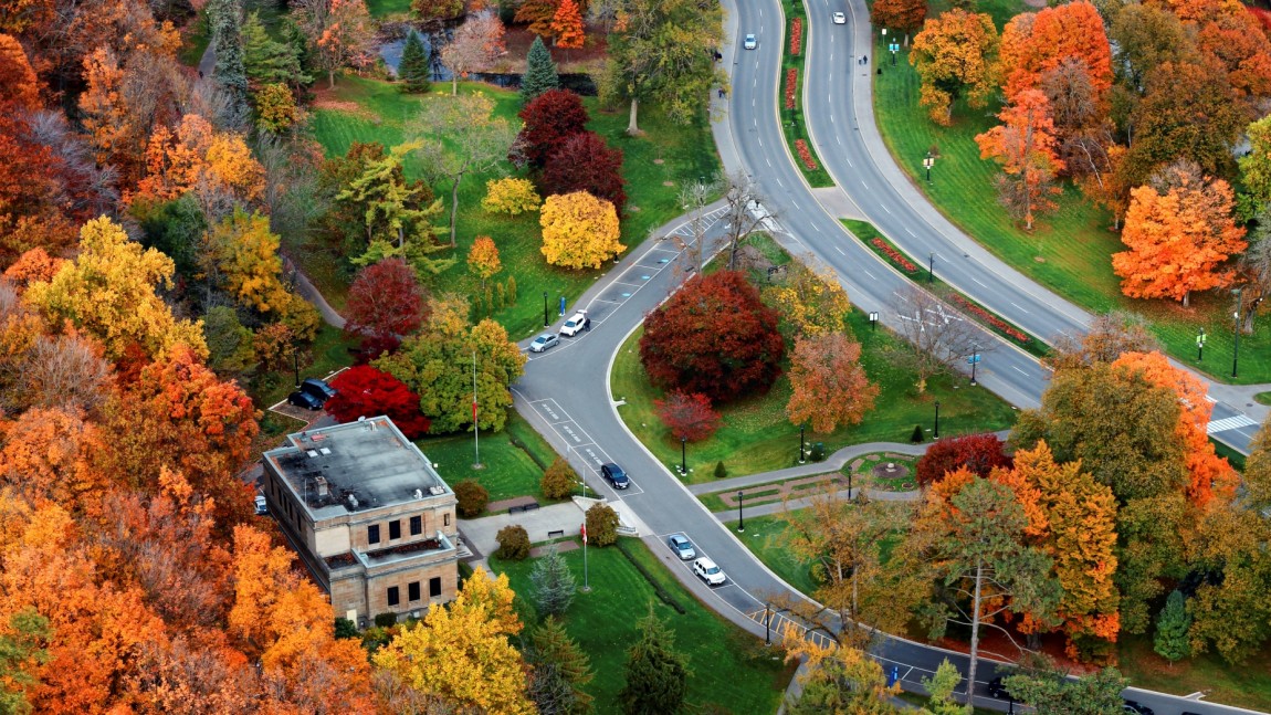 Calling All Urban Forest Stakeholders – What tools do you need?