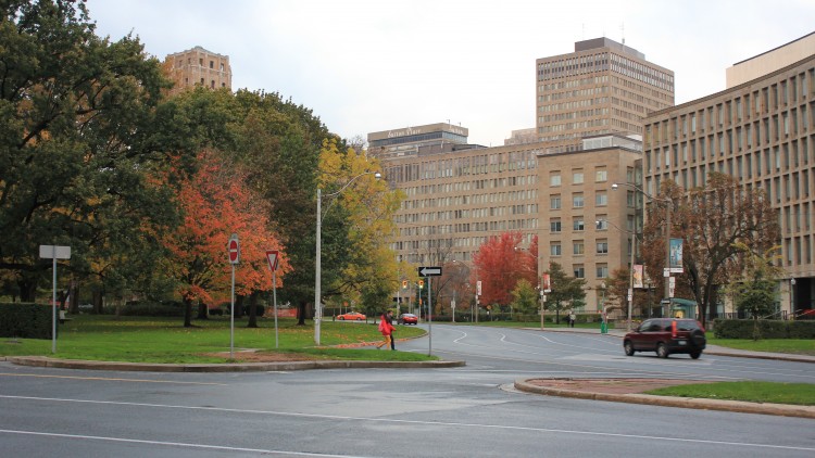 Green Infrastructure Asset Management Workshop Highlights