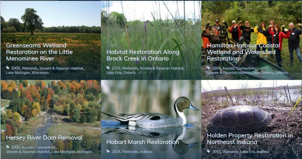 Inspiring Initiatives: Great Lakes Grant, Missisauga’s Giant New Urban Farm, and more