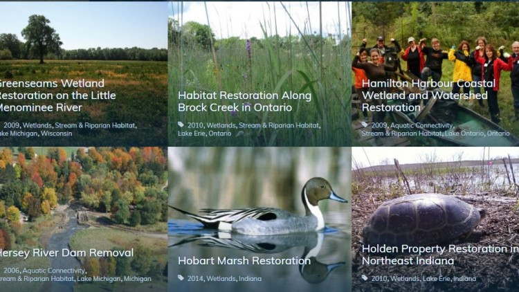 Inspiring Initiatives: Great Lakes Grant, Missisauga’s Giant New Urban Farm, and more