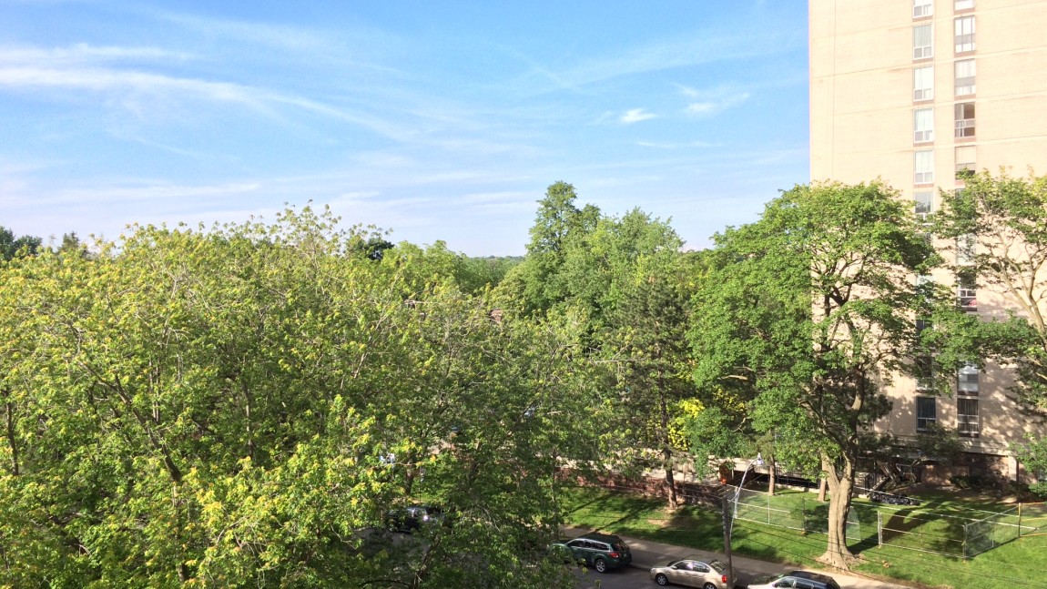 Urban Forests and Public Health – Funding Opportunities