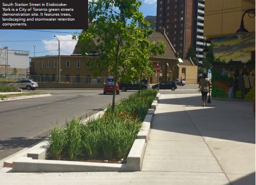Complete Streets Include Green Infrastructure