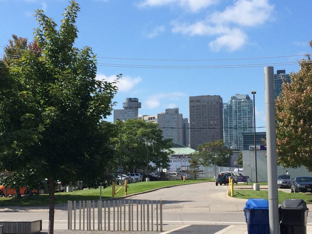 7 Key Takeaways on Urban Forest Assets and Public Sector Accounting Standards