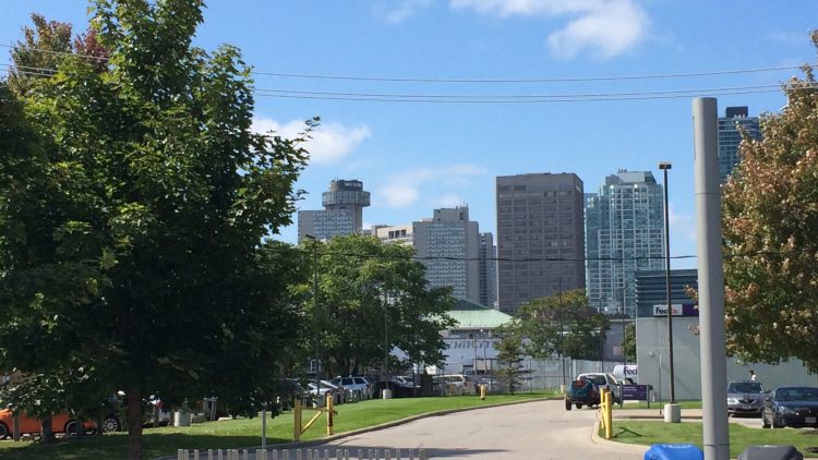 7 Key Takeaways on Urban Forest Assets and Public Sector Accounting Standards
