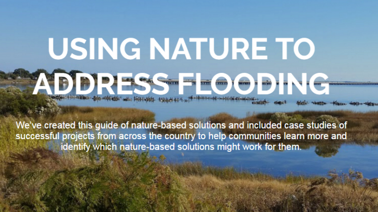 Inspiring Initiatives: Guidebook for Naturally Resilient Communities, Green Infrastructure on Agricultural Land, and a Hospital’s Green Roof