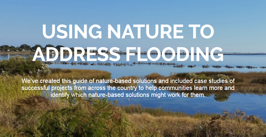 Inspiring Initiatives: Guidebook for Naturally Resilient Communities, Green Infrastructure on Agricultural Land, and a Hospital’s Green Roof