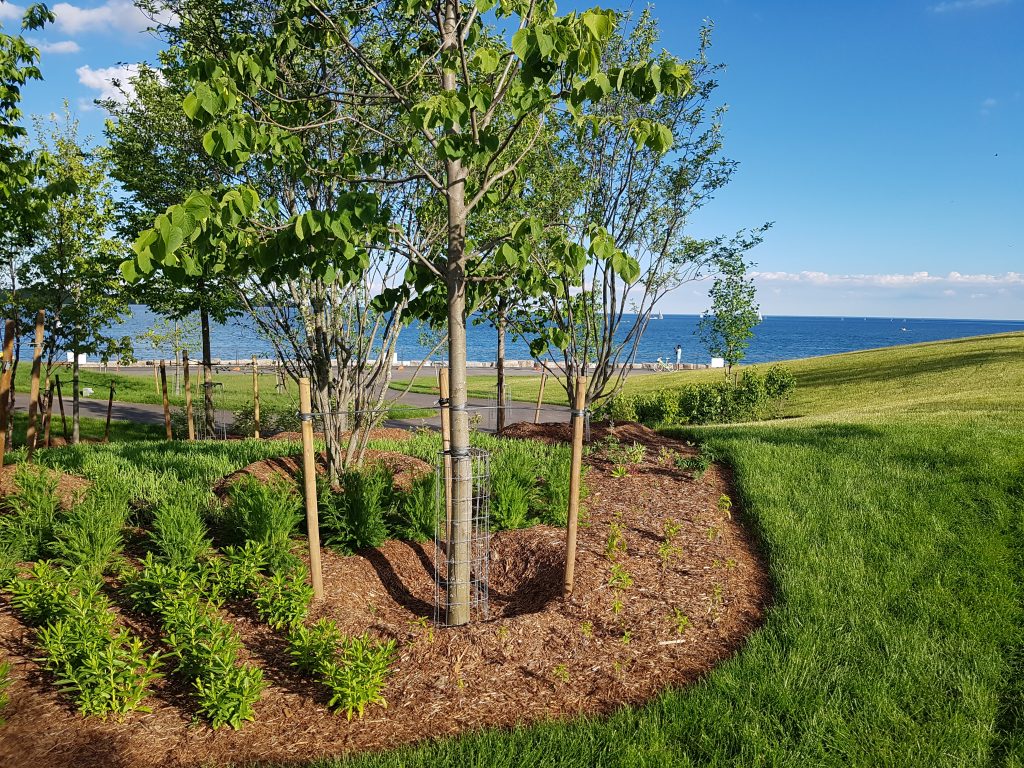 Stormwater Management in Ontario - Support for Green Infrastructure