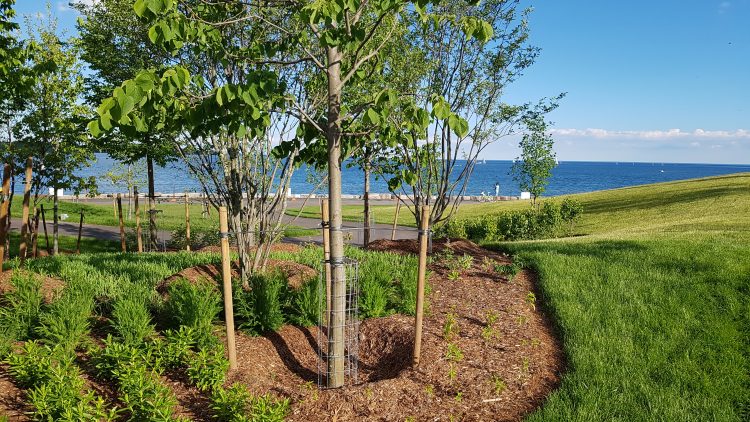 Stormwater Management in Ontario – Support for Green Infrastructure