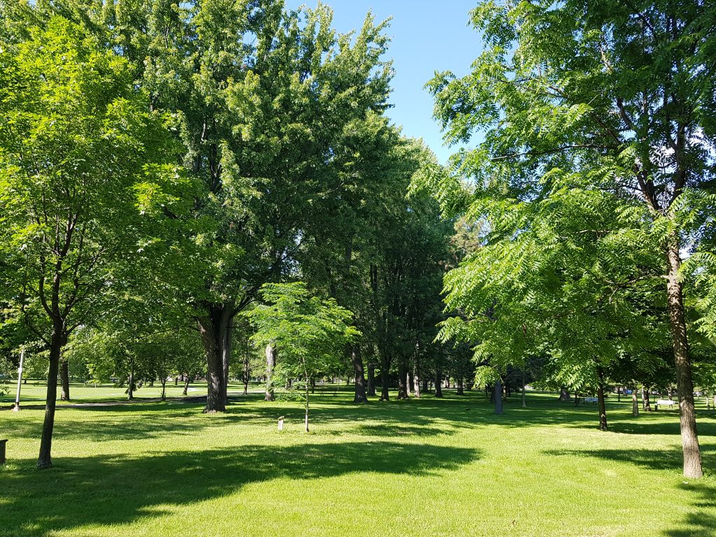 Spotlight on Research: Measuring Urban Tranquillity, Urban Street Stormwater Guide and Nature-based Solutions for Source Water Protection