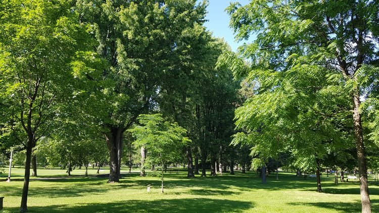 Spotlight on Research: Measuring Urban Tranquillity, Urban Street Stormwater Guide and Nature-based Solutions for Source Water Protection