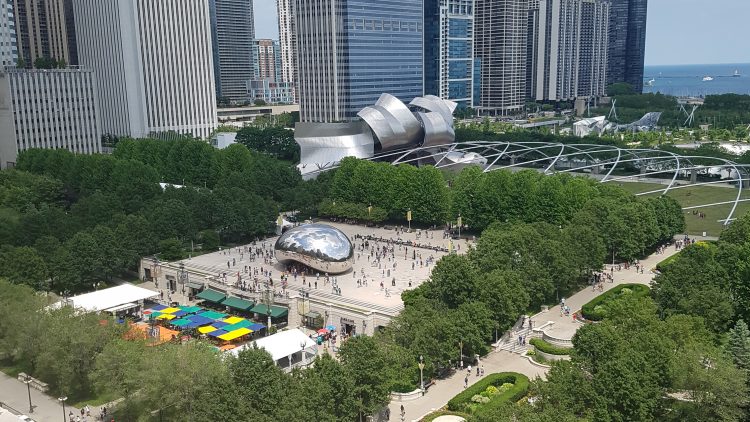 Urban Tree Canopy Goals