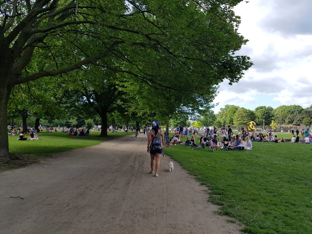 Spotlight on Research: Resilient Parks, Green Infrastructure on Private Property, Forests as Pollution Control and A Call for Research