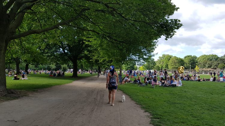 Spotlight on Research: Resilient Parks, Green Infrastructure on Private Property, Forests as Pollution Control and A Call for Research