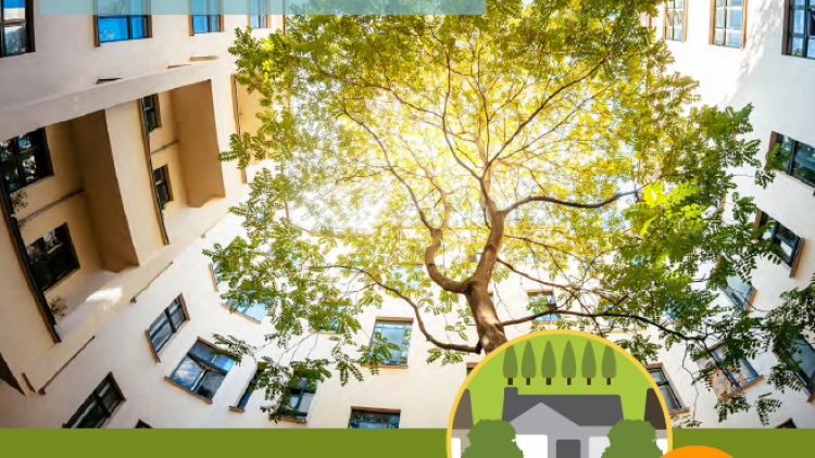 Urban Forest Asset Management