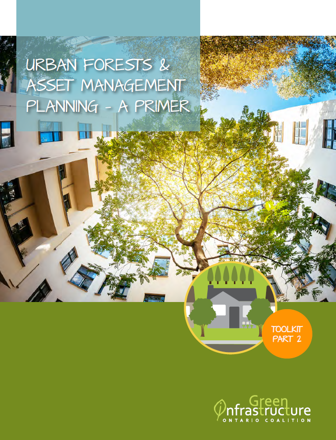 Urban Forest Asset Management