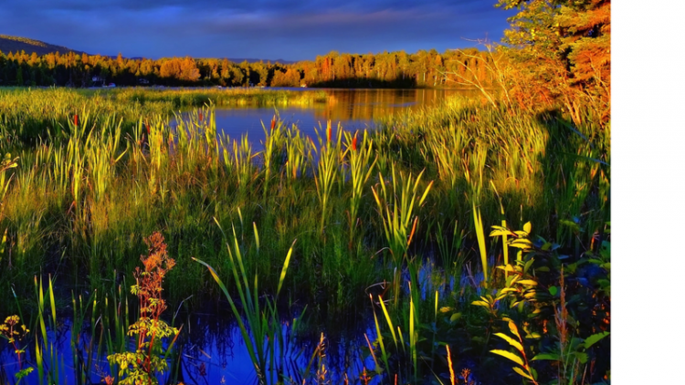 Ontario’s New Wetland Conservation Strategy