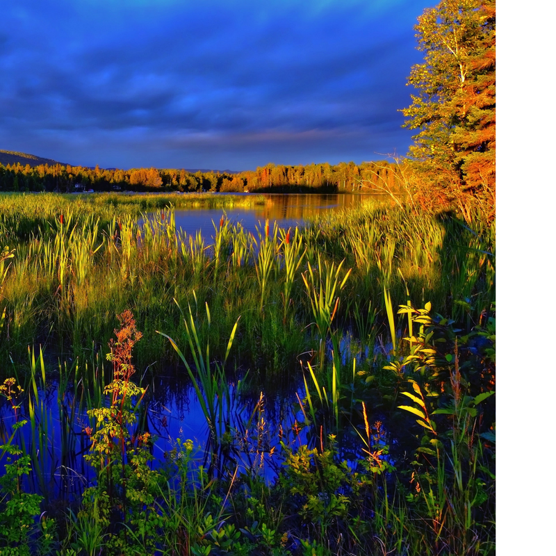 Ontario’s New Wetland Conservation Strategy
