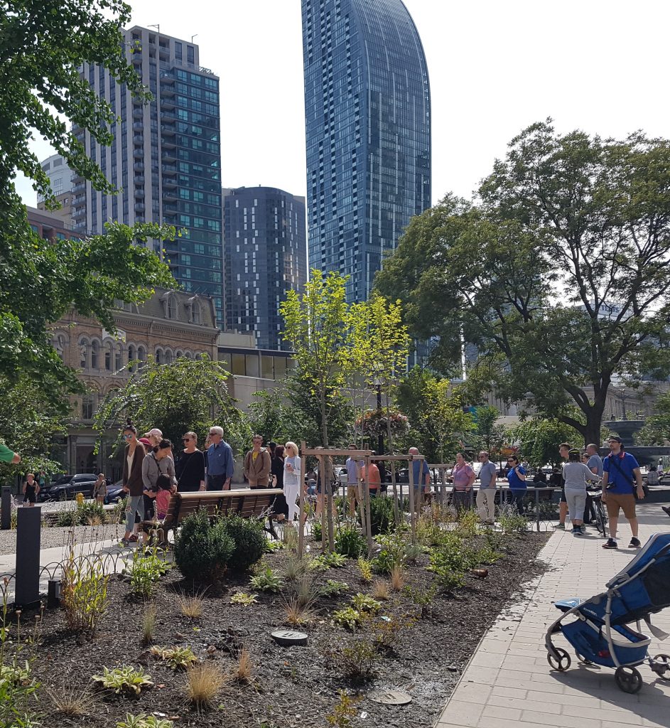 Spotlight on research: green infrastructure in leading cities, provisioning services of NYC's urban forest, mapping green infrastructure and evaluating the benefits of green infrastructure