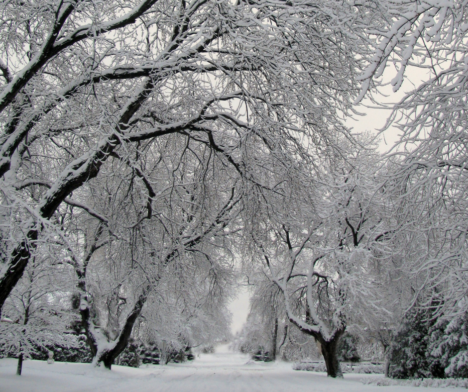 Green Infrastructure in Ontario’s Proposed Climate Change Initiatives