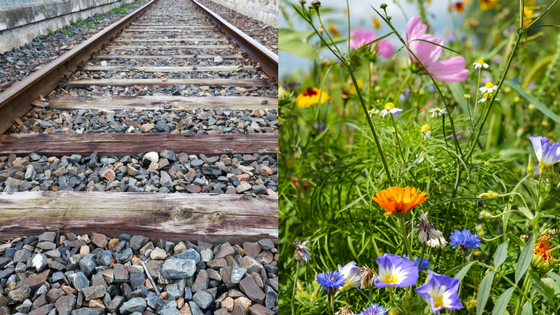 Inspiring Initiatives: Five parks that were born from old transportation infrastructure