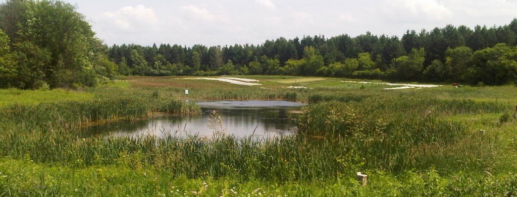Recent Research: Best Practices and Resources on Climate Resilient Natural Infrastructure