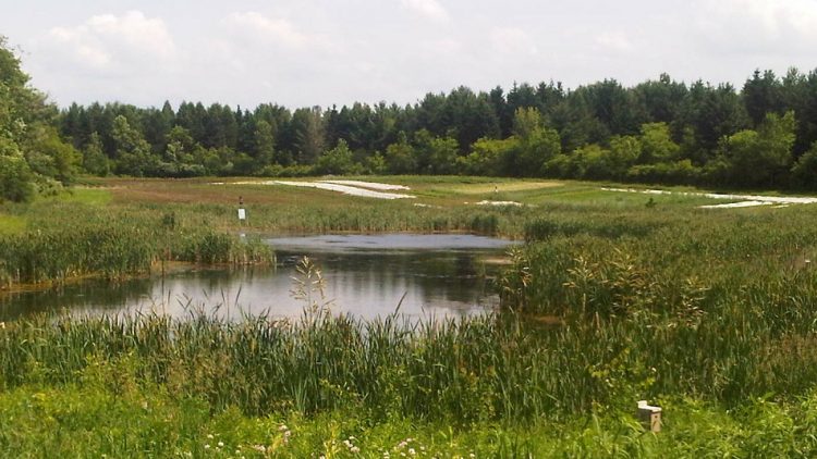 Recent Research: Best Practices and Resources on Climate Resilient Natural Infrastructure