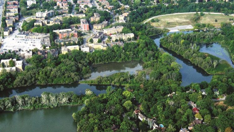 5 Barriers and 5 Opportunities for Municipal Natural Asset Management