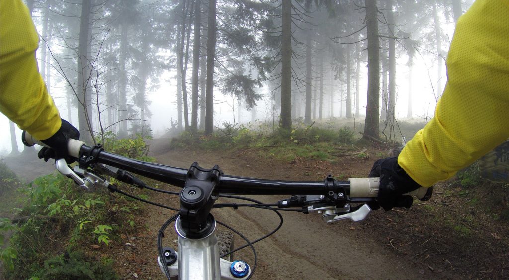 Cyclist rides along trail through a forest