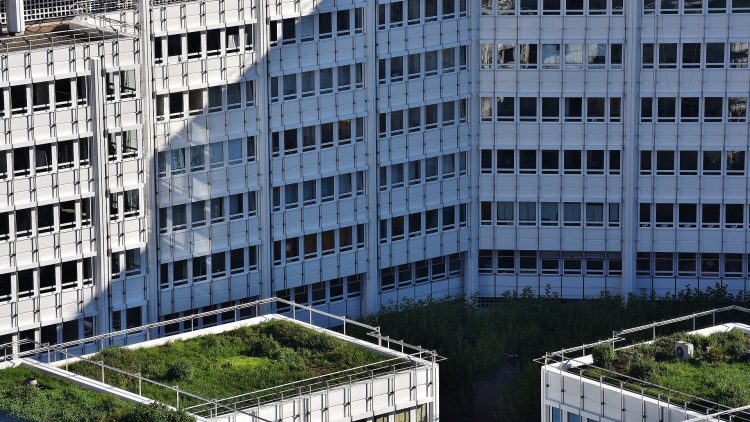 Inspiring Initiatives: Wetlands, Green Roofs, and Mitigating Coastal Floods