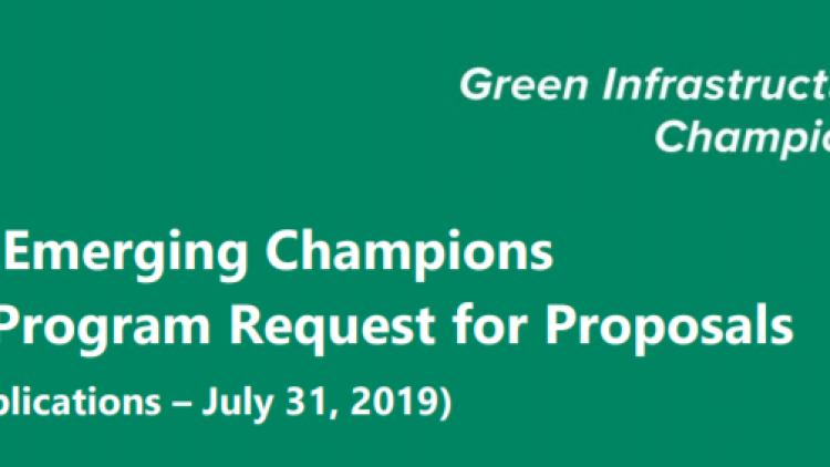 Great Lakes Emerging Champions – Mini-Grant Program