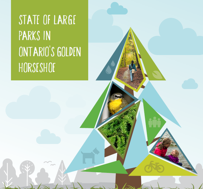 State of Large Parks Image