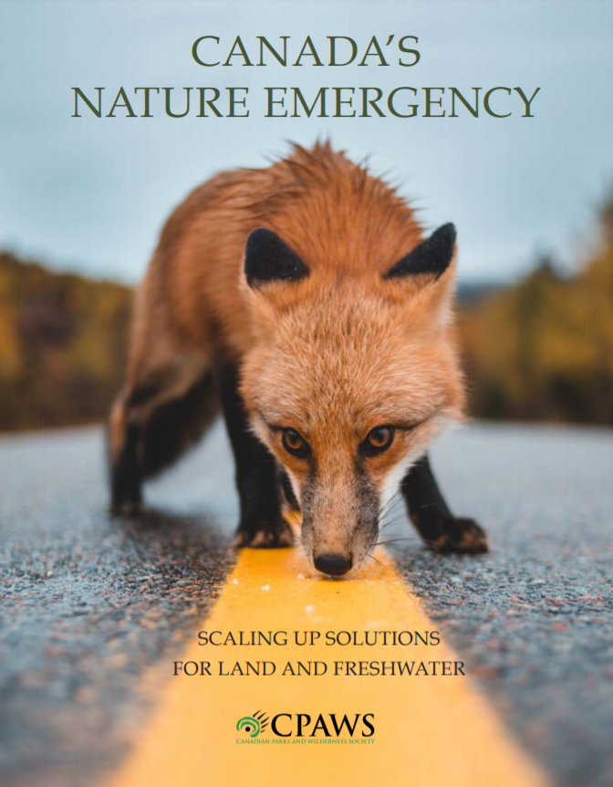 Cover of Canada's Nature Emergency Report