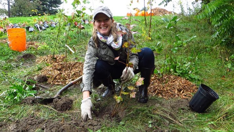 Green Infrastructure Funding