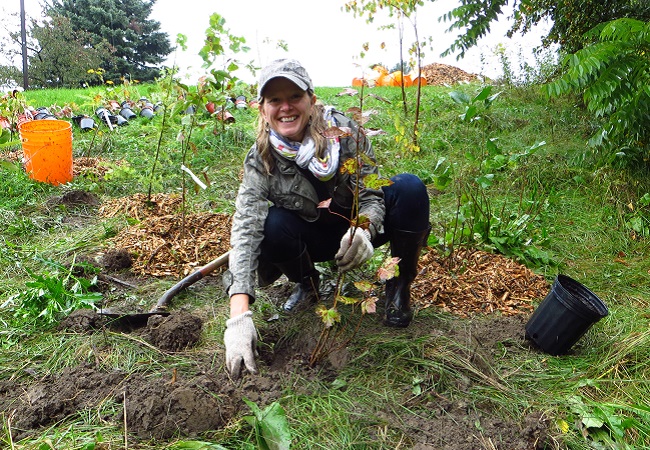 Green Infrastructure Funding