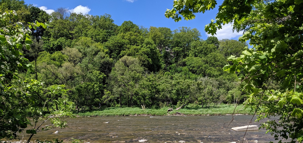 green space along Humber River in Toronto