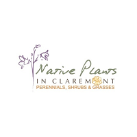 Native Plants in Claremont